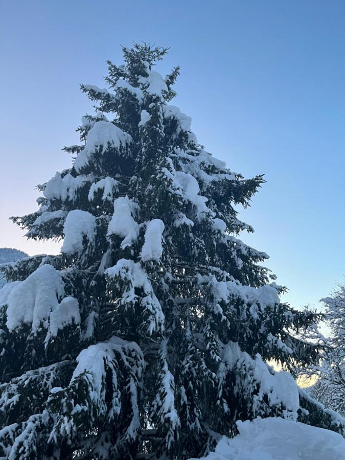 Chalet La Poipia Beaufort  Kültér fotó